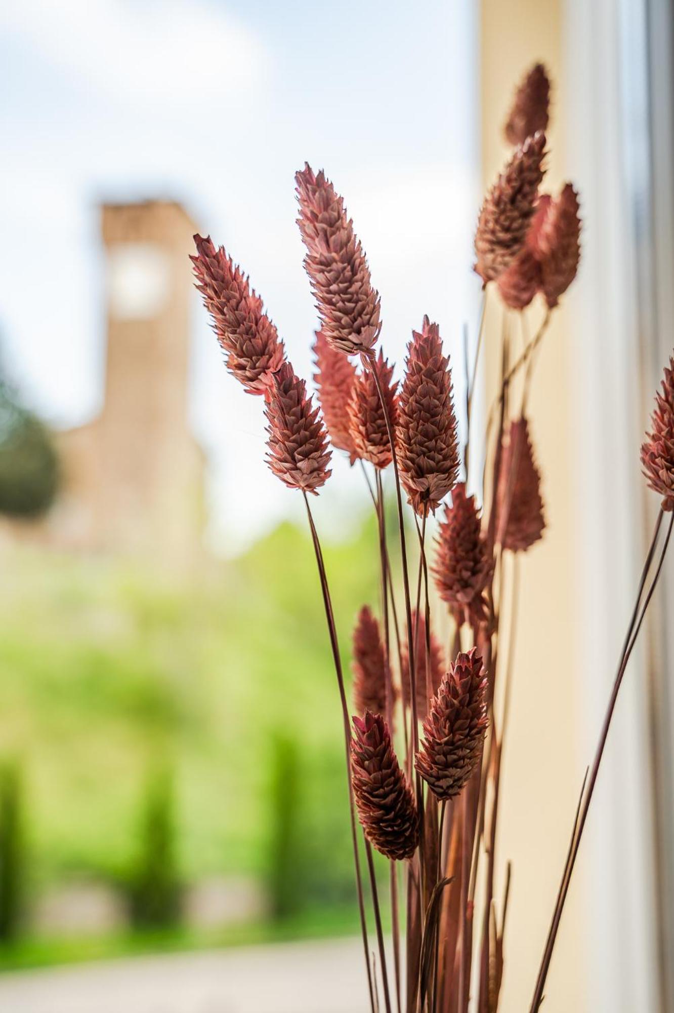 Emilio'S Rooms Castelvetro di Modena Ngoại thất bức ảnh